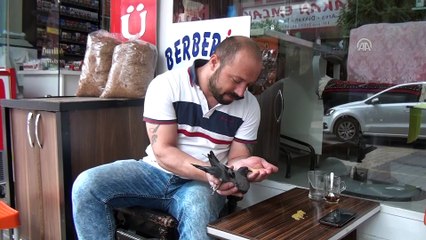Gözleri görmeyen güvercine sahip çıktı - ADIYAMAN