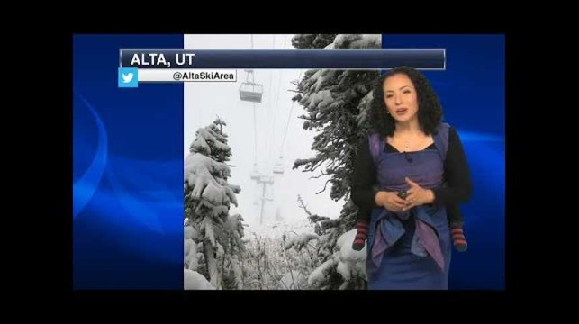 Cette présentatrice météo avait invité le plus mignon des assistants