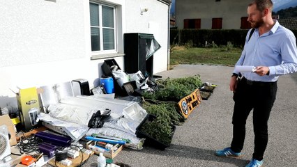 Savoie / Chateauneuf : un cultivateur de cannabis arrêté par les gendarmes
