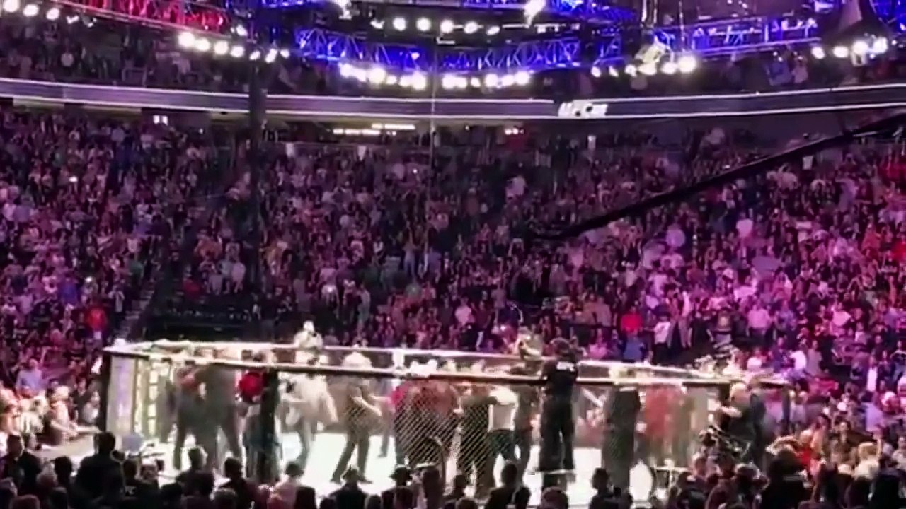 UFC 229 McGregor Khabib SCARY BRAWL, ALL ANGLES Crowd-Octagon