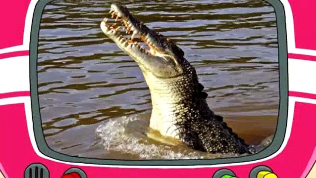 Download Uncle Grandpa S01e11 Leg Wrestle Future Pizza Video Dailymotion