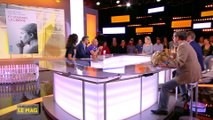 Les français et les animaux sauvages - L'Info du vrai du  08/10 - CANAL+