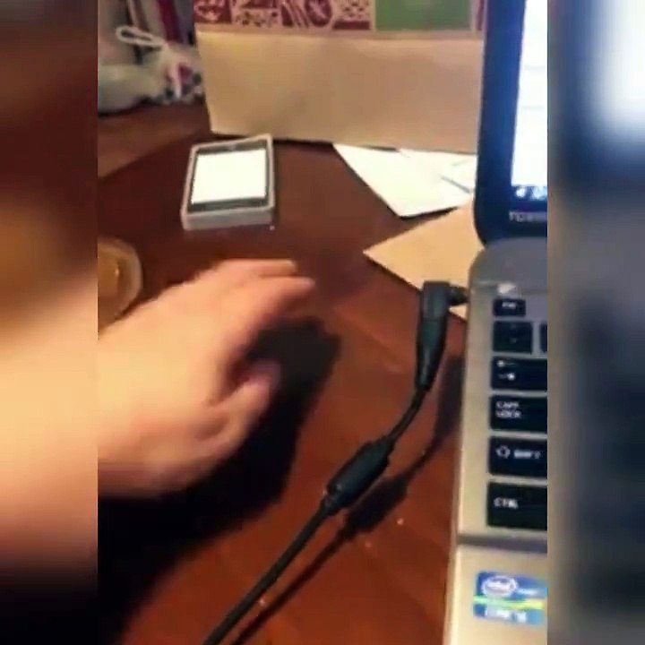 Cat Trying to steal some bread