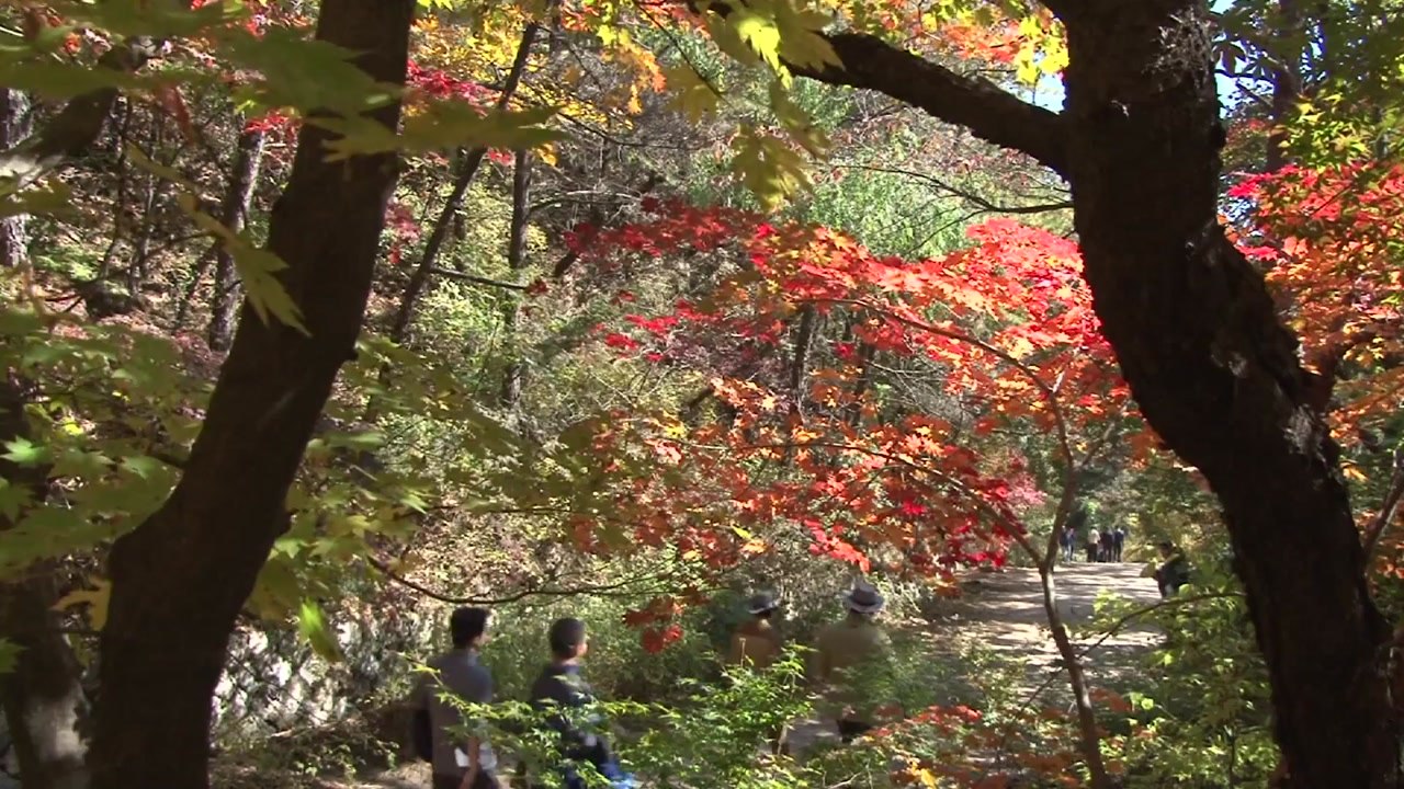 오색찬란 단풍에 물든 국립공원...행사도 풍성 / YTN
