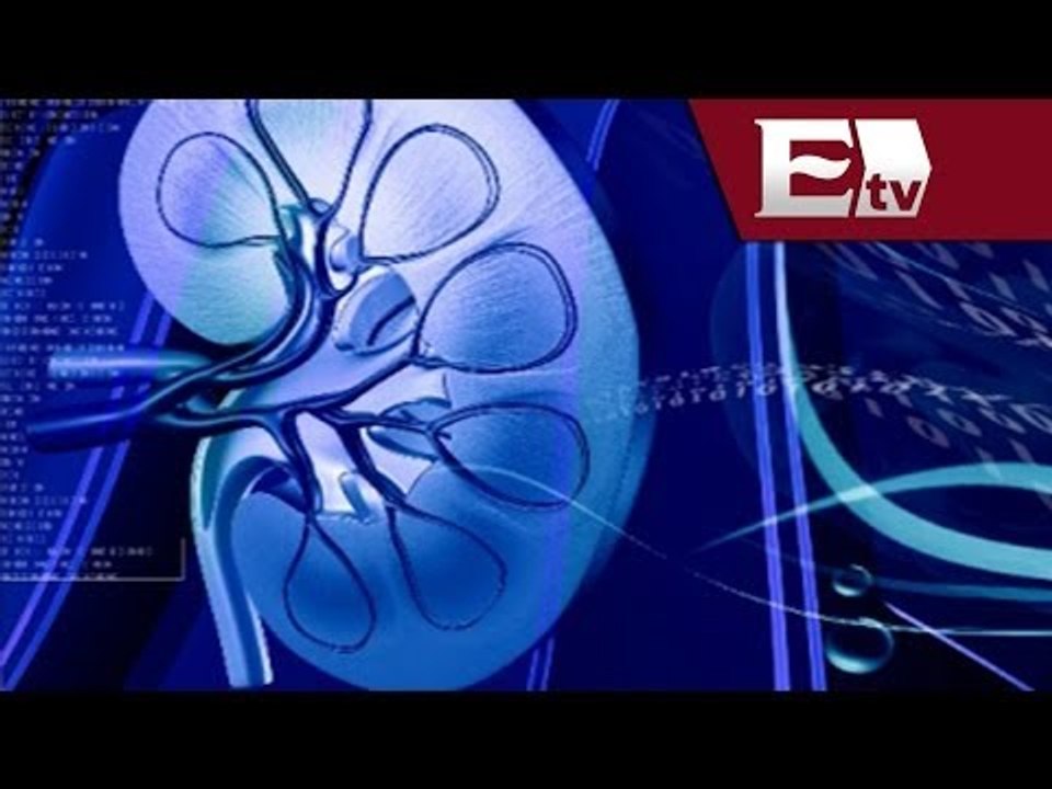 Científicos australianos logran crear riñón a partir de células madre / Salud con Gloria Contreras
