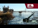 Se agotan reservas petroleras de México: British Petroleum  / Darío Celis