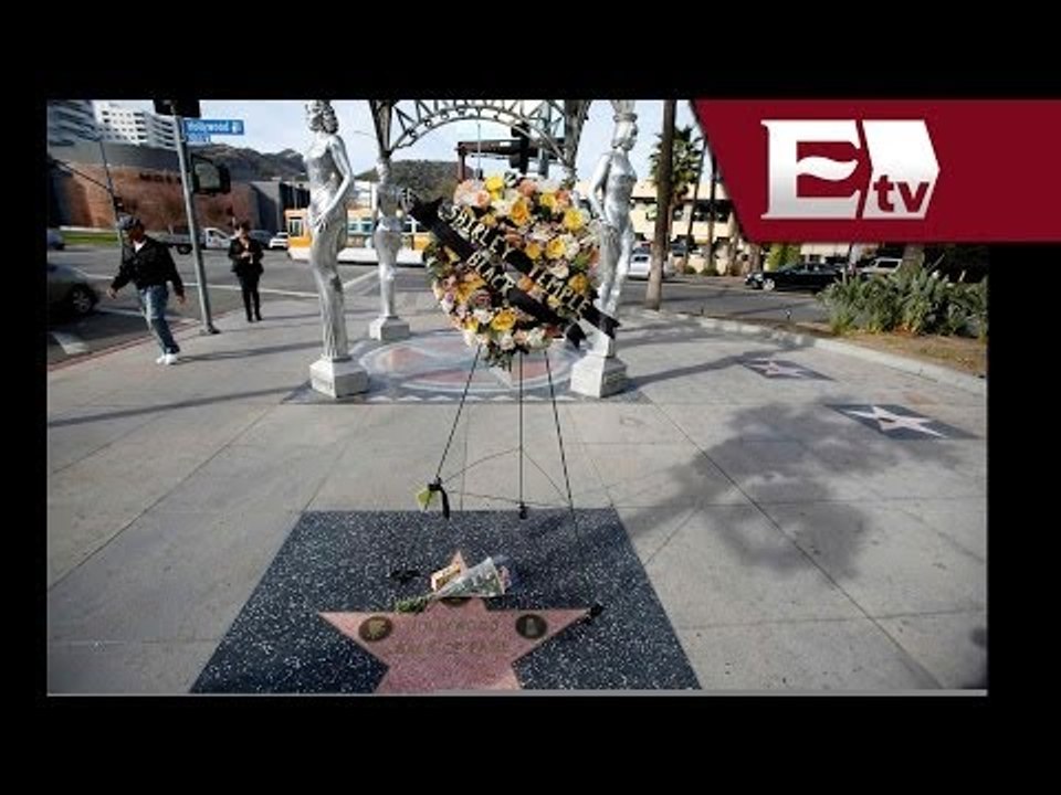 Shirley Temple recibe tributo en el Paseo de la Fama de Hollywood  / Joanna Vegabiestro 2014