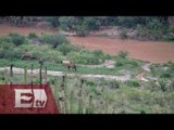 Se crea comité ante Ecocidio por el desastre en el río Sonora / Dinero
