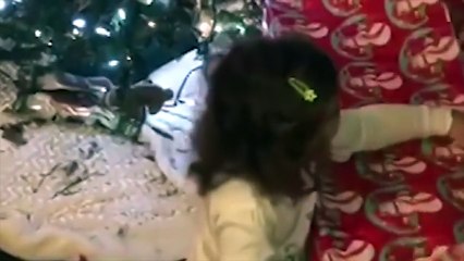 Le plus mignon des animaux de compagnie se dévoile à jamais