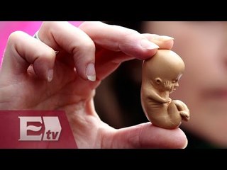 Gobierno de España retira propuesta de reforma sobre ley del aborto/ Titulares