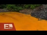 Mineras de Grupo México contaminan ríos de Guerrero/ Dinero