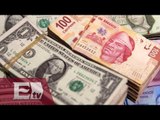 Banxico: peso mexicano cerrará en 2015 en 14.18 unidades por dólar/ Darío Celis