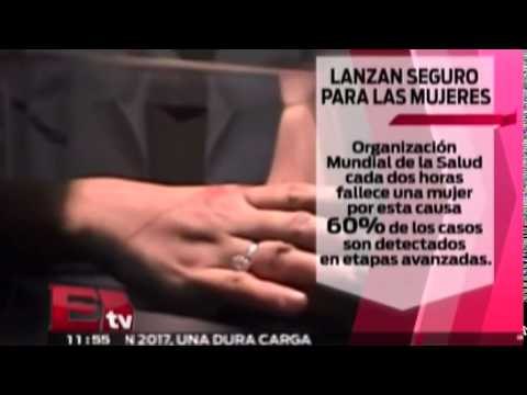 Nuevo seguro especializado en mujeres jefas del hogar / Paul Lara