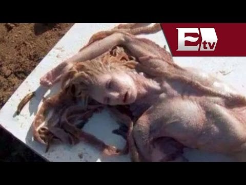 Sirena de Piratas del Caribe causa controversia en México / Joanna Vegabiestro