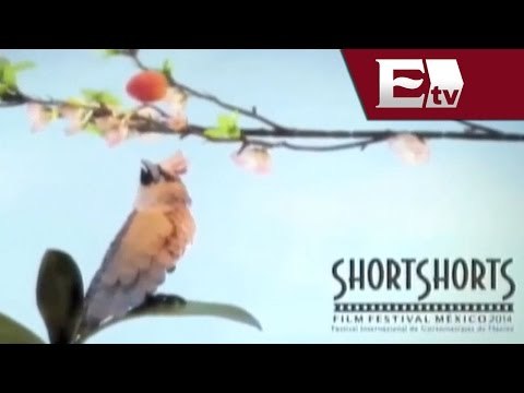 Festival de cortos Shor Short llega a México / Loft Cinema