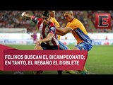 Tigres y Chivas por la gloria en la final del Clausura 2017