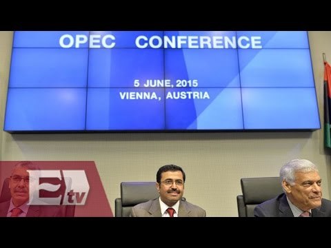 OPEP decide mantener producción diaria de barriles / Dinero