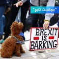 مسيرة كلاب في لندن للمطالبة بالبقاء في الاتحاد الأوروبي.. لماذا الكلاب؟