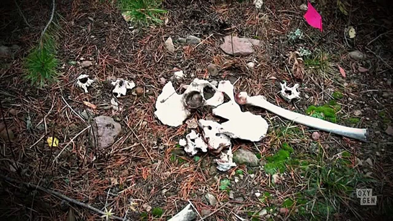 It Takes A Killer S01 E69