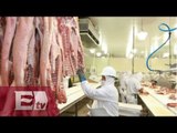 Autoriza Japón a México a exportar carne de cerdo / Darío Celis