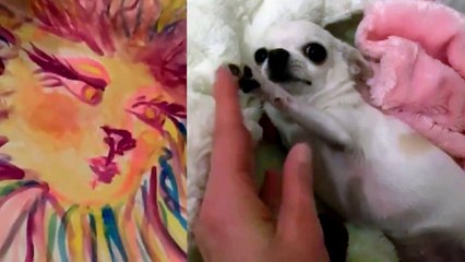 Thalía juega con sus hijos y cuida a su mascota