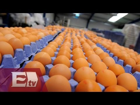 Bochoco adquiere planta estadounidense por 8 mdd/ Darío Celis