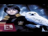 Denuncian maltrato animal a aves utilizadas en los filmes de Harry Potter  / Función