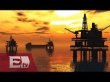 Renaissance Oil por una alianza con Pemex/ Darío Celis