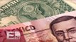 Peso mexicano pierde terreno ante un dólar que se vende en 18.67 / Darío Celis