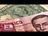 Peso mexicano pierde terreno ante un dólar que se vende en 18.67 / Darío Celis
