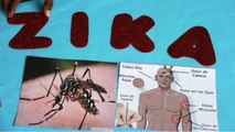 Zika Virus की चपेट में Jaipur के 22 लोग, PMO ने मांगी Report, High Alert | वनइंडिया हिंदी