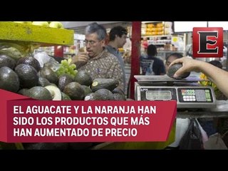 Mitos y mentiras del precio del aguacate