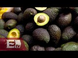 Doloroso el aumento en el precio del aguacate / David Páramo