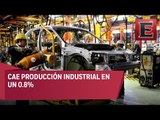 Producción Industrial disminuyó en el último año