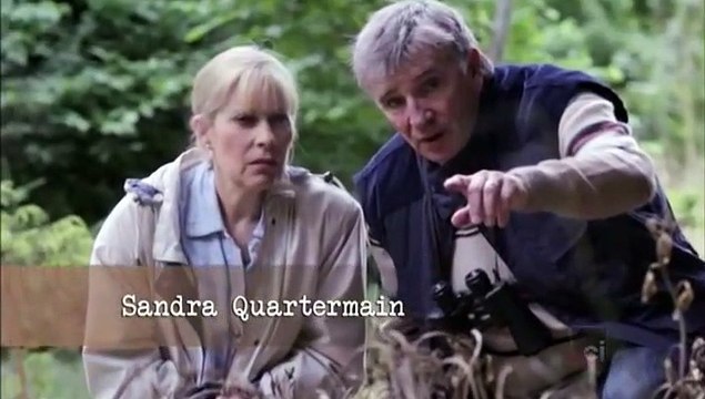 Criminal Minds - Vampire Killers