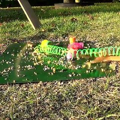 The pet collection!AMEZING work bay pet