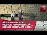 México venderá menos azúcar refinada a Estados Unidos