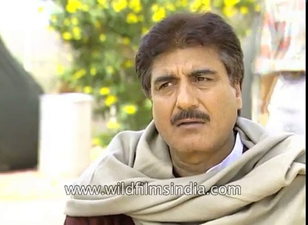 Actor Raj Babbar says Sheen exhibits the pain and tragedy of refugees in Kashmir