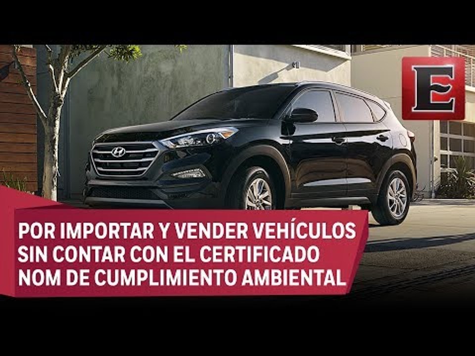 Profepa multó a Hyundai con 1.5 mdp