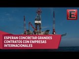 SENER espera ingresar más de 30 mmdd en hidrocarburos y energía