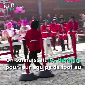 Ampoureux des sports à la con, le Championnat du Monde du Cheval à 2 Pattes est fait pour vous :
