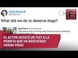 Chris Evans se declara fan de la perrita rescatista 'Frida'