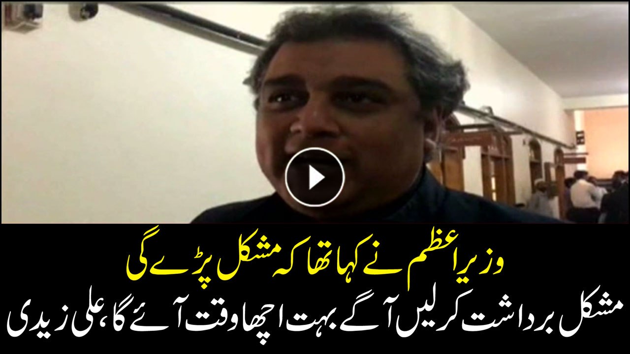 Good times are ahead, public should be patient: Ali Zaidi