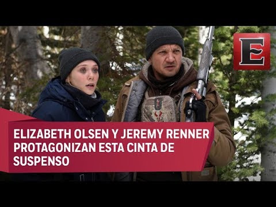 “Muerte misteriosa”: cómo dar caza a un depredador
