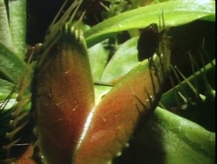 Killing For A Living S01 E08