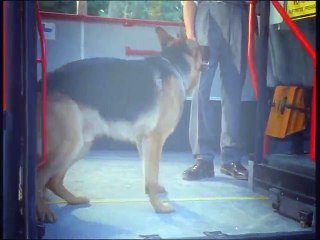 Rex, chien flic S03E09 FRENCH