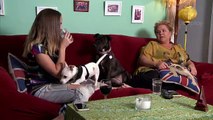 Gogglebox Australia S04 E05