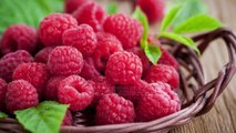 Frutat e pyllit, aleate të shkëlqyera për një shëndet të mirë - Top Channel Albania - News - Lajme