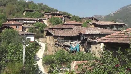 Hırsızlar Mahalleyi Soydu