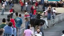 Bull Fighting Funny Videos